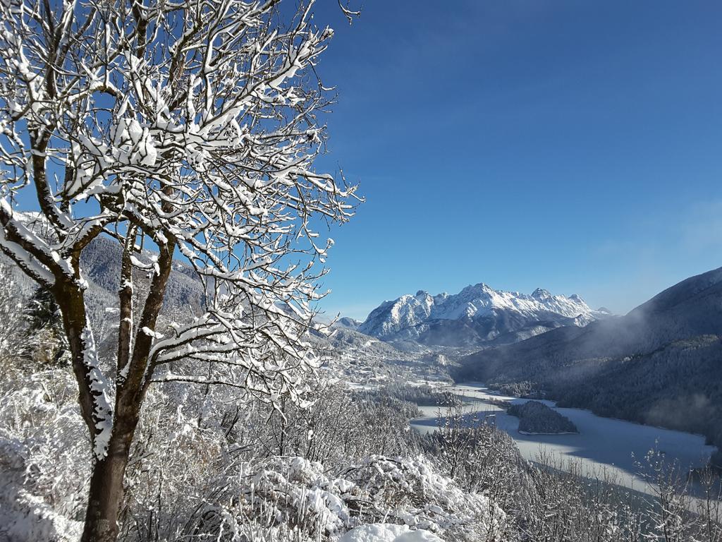 Dolomiti Lejlighed Pieve di Cadore Eksteriør billede